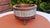 1960s Wooden Planter with Pewter Rim, 1960s For Sale - Image 5 of 6