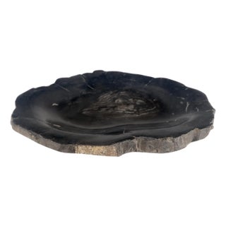 Petrified Wood Round Shape Solid Black Round Bowl Dish Large Plate Ashtray For Sale