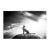 Large Editioned Photograph Cheetah's Throne by Bjorn Persson For Sale