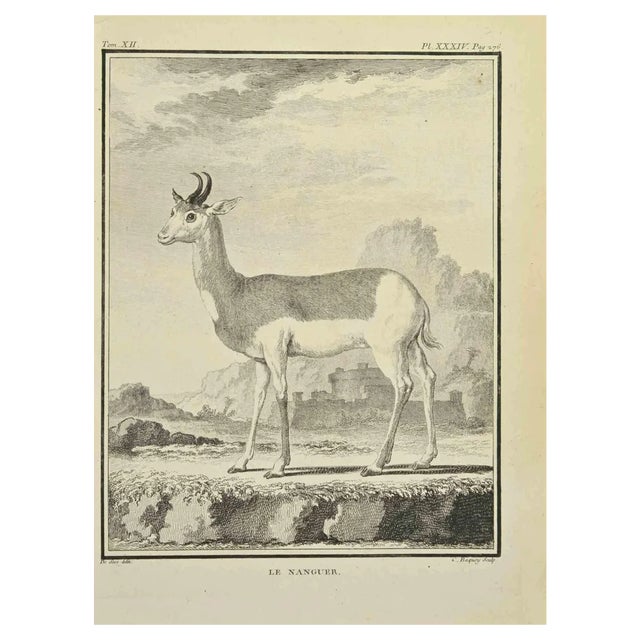 Jean Charles Baquoy, Le Naguer, Etching, 1771 For Sale