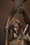 19th Century 19th Century French Bronze Figural Lady Lamp with Opaline Globe, 1865 For Sale - Image 5 of 18