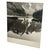 Traditional Vintage Black and White Photograph of Moraine Lake, Alberta, Canada. For Sale - Image 3 of 10