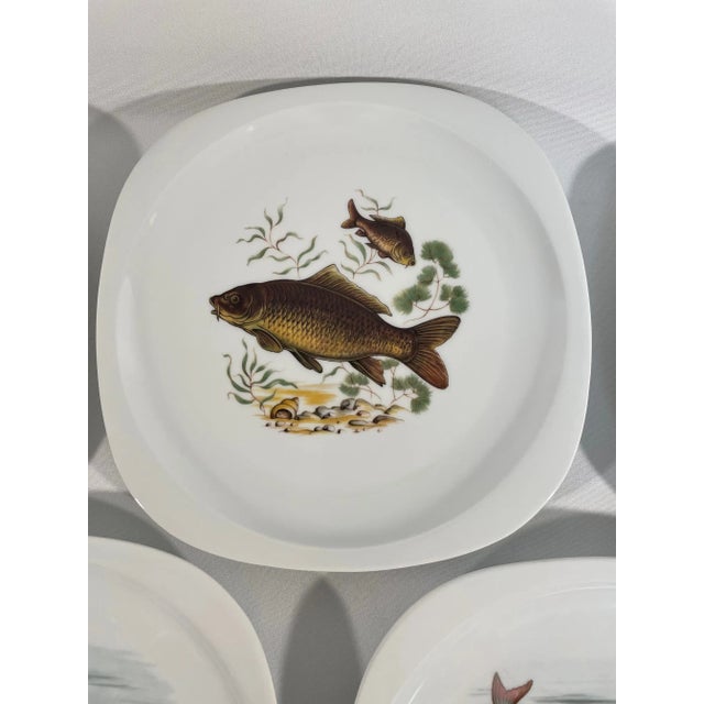 Ceramic 1940s-50s French Limoges Fish Plates - Set of Five For Sale - Image 7 of 17