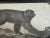 Monkey, 1831-35, Original Lithograph For Sale - Image 9 of 12
