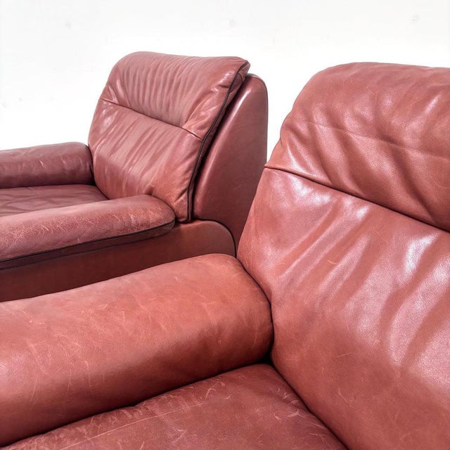 DS66 Lounge Chair from de Sede, 1970s For Sale - Image 9 of 14