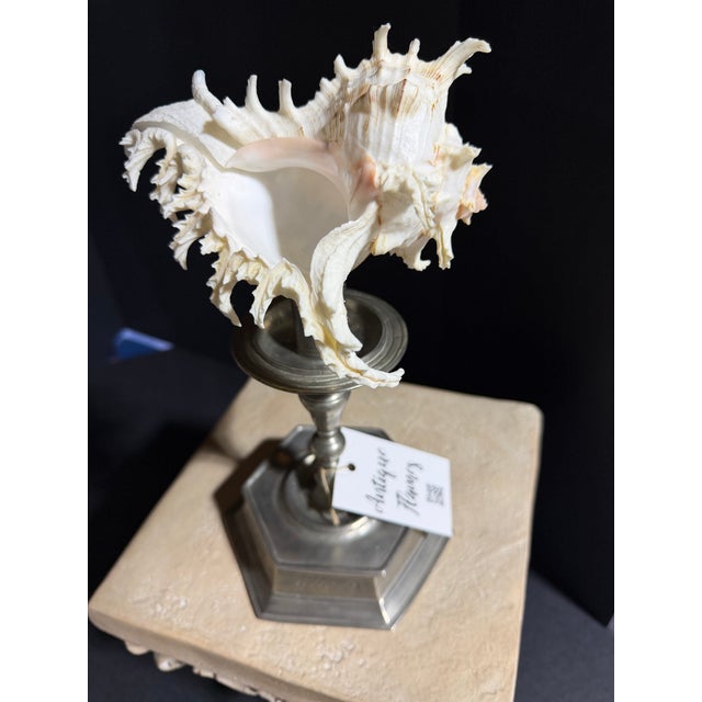 Step into a studio-turned-sanctuary. This sale features a series of original works born from a fascination with the ornate...