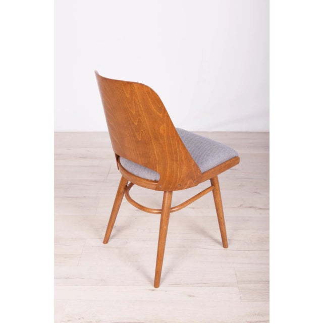 Model Lollipop Dining Chairs from Tatra, 1960s, Set of 4 For Sale - Image 11 of 17