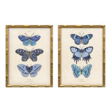 Reproduction Vintage Blue Butterfly Art Print Set (Set of 2), Framed For Sale