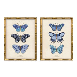 Reproduction Vintage Blue Butterfly Art Print Set (Set of 2), Framed For Sale
