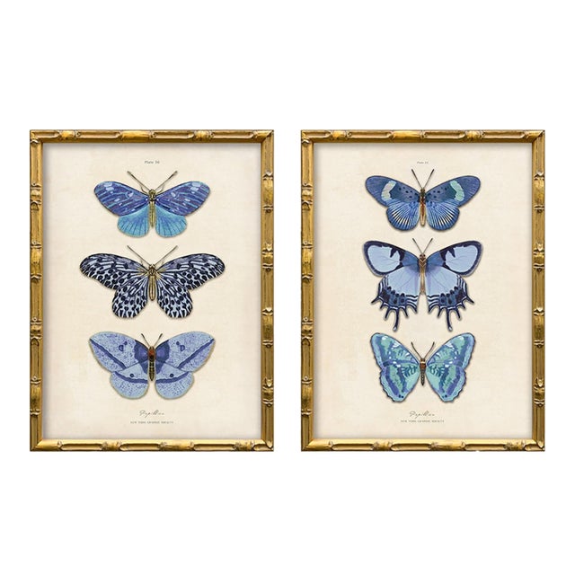 Reproduction Vintage Blue Butterfly Art Print Set (Set of 2), Framed For Sale