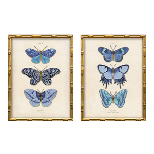 Reproduction Vintage Blue Butterfly Art Print Set (Set of 2), Framed
