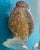 La Tour d'Argent Murano Glass Duck For Sale In Las Vegas - Image 6 of 9