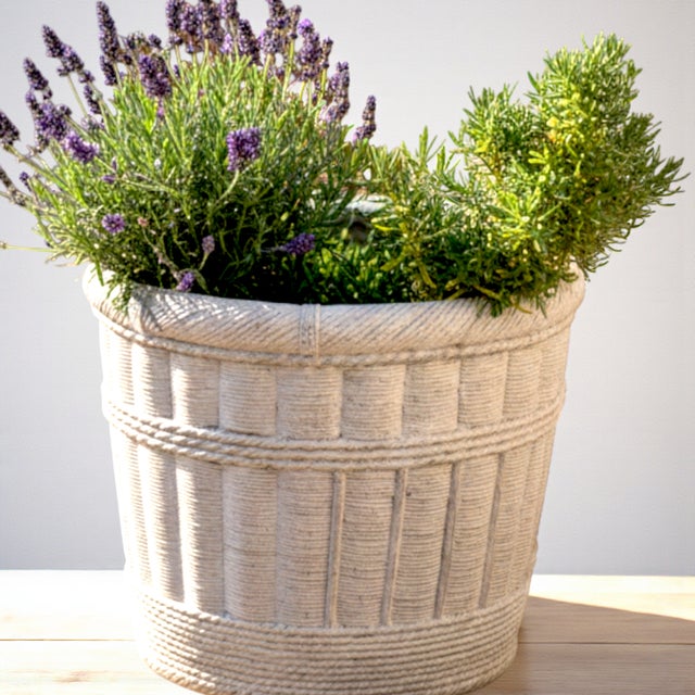Large Pale Gray Cement Planter in the Shape of a Double Handled Wicker Gathering Basket For Sale - Image 9 of 12