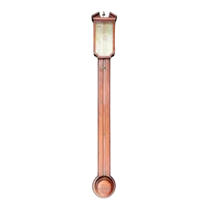 English Mahogany 19th Century Stick Barometer by Tarone
