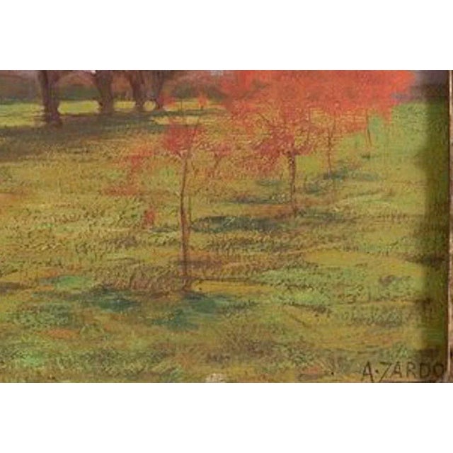 Landscape with Trees - Oil on Cardboard by Alberto Zardo Early 20th Century For Sale - Image 3 of 4