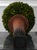 Pair of Wildwood Accents Topiary Urns For Sale - Image 9 of 9