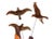 Mid-Century Modern Mid Century Kinetic Wood Flying Birds For Sale - Image 3 of 5
