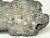Gray Small Early Georgian Lead Hound Dog Sculpture – c.1760 Architectural Outdoor Garden Ornament in the Manner of John Cheere For Sale - Image 8 of 12