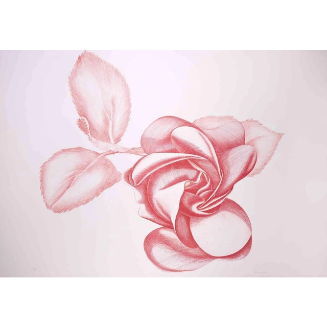 Red Rose is an original contemporary artwork realized by Giacomo Porzano in 1970s. Colored etching Hand-signed on the...