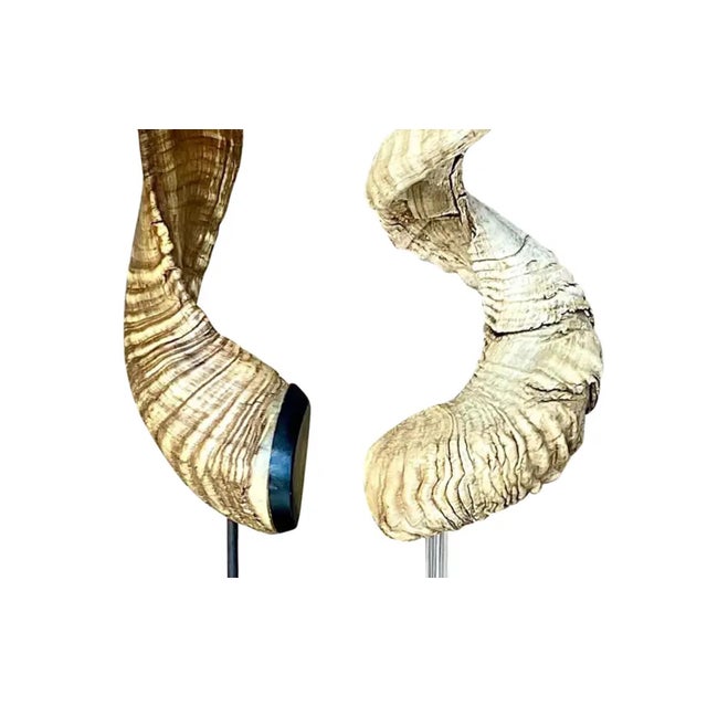 Vintage Boho Set of Single Antlers For Sale - Image 10 of 12