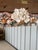 Ivory Custom Coastal Seashell Wall Mirror With Coral & Mixed Shell Mosaic Frame For Sale - Image 8 of 12