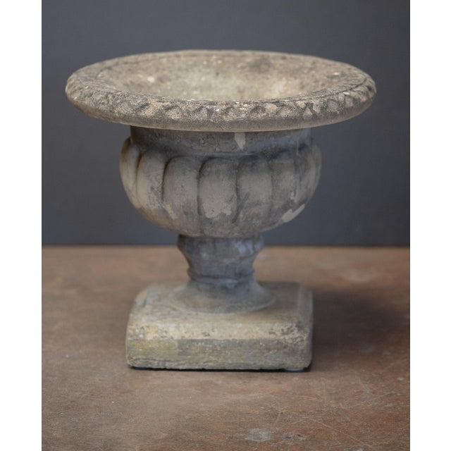 English Garden Stone Urn or Planter Pot on Square Plinth Base For Sale In Austin - Image 6 of 10