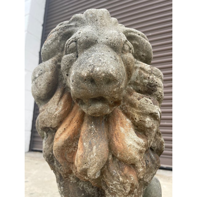 Gray Pair of 19th-Century Lion Sculptures - The Plantation Guardians: For Sale - Image 8 of 9