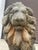 Gray Pair of 19th-Century Lion Sculptures - The Plantation Guardians: For Sale - Image 8 of 9