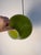 Glass Green Glass Pendant Lamp by Hans-Agne Jakobsson for Staff For Sale - Image 7 of 11