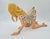 2000 - 2009 Honey Figurine by Milo Manara for Démons & Merveilles, 2000 For Sale - Image 5 of 13