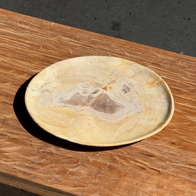 Petrified wood trinket dish or tray. Petrified wood is a fossilized wood (from the same family as magnolia) dating back 20...