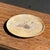 Petrified wood trinket dish or tray. Petrified wood is a fossilized wood (from the same family as magnolia) dating back 20...