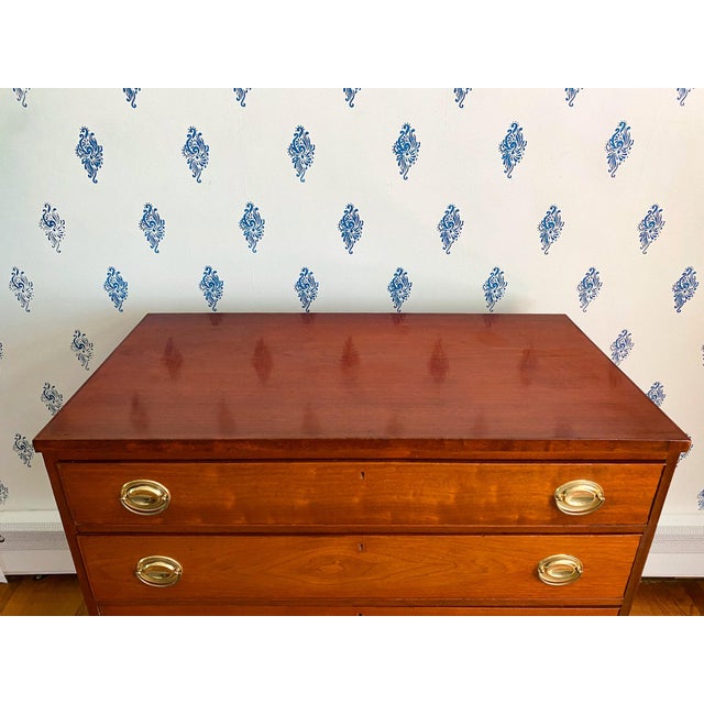 Antique Early 1800s Southern Neoclassical Mahogany Chest of Drawers, Likely Virginia For Sale - Image 11 of 14