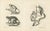 Carel Christiaan Antony Last, Saimiri, Night Monkey, Mico and Silky Monkey, 1836, Lithographs on Paper, Set of 2 For Sale - Image 4 of 6