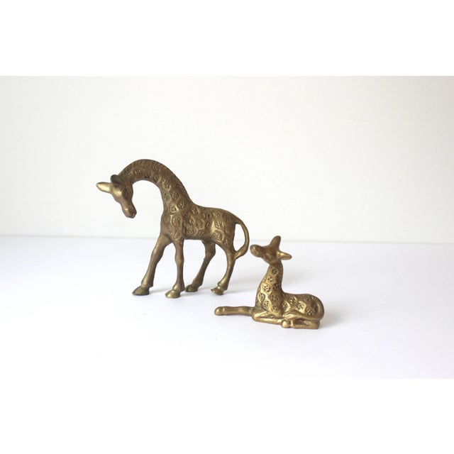 Mid-Century Modern Vintage Small Pair of Vintage Brass Giraffe Figurines For Sale - Image 3 of 8
