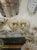 Modern Murano Gold Glass Cup Sconces - a Pair For Sale - Image 3 of 6