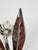Mid-Century Italian Chrome Flower Cocktail Ashtrays, 1960s, Set of 6 For Sale - Image 17 of 18