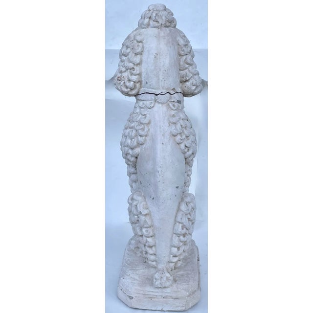 1950s White Standard Poodle Dog Statue Garden Ornament Mid 20th Century For Sale - Image 5 of 10
