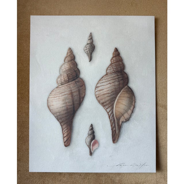 Contemporary Contemporary Hannah Winters Repro Print of Her Seashells in a Vintage Gold Frame For Sale - Image 3 of 6