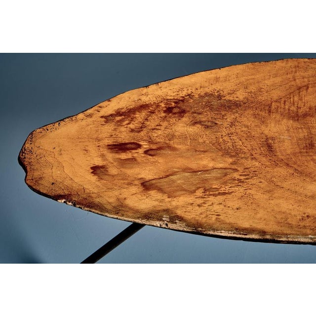 Tree Trunk Coffee Table by Werkstätte Carl Auböck, Austria, 1950s For Sale - Image 6 of 12