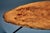 Tree Trunk Coffee Table by Werkstätte Carl Auböck, Austria, 1950s For Sale - Image 6 of 12