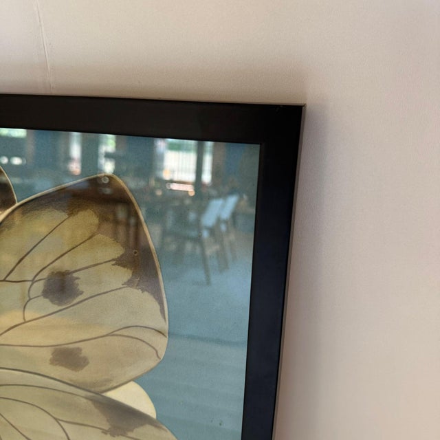 Mid-Century Modern Educational Poster Butterfly, Sweden, 1960 For Sale - Image 3 of 7