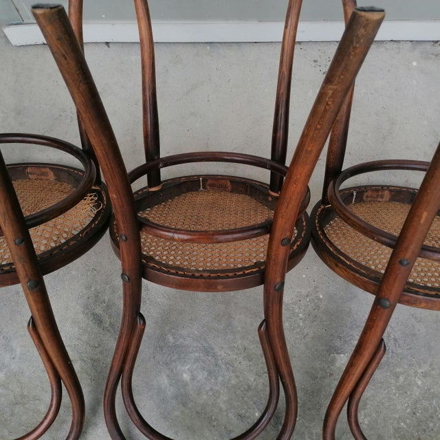 1980s Model No. 18 Chairs from Gebrüder Thonet and Wackerlin & C., 1980s, Set of 7 For Sale - Image 5 of 18