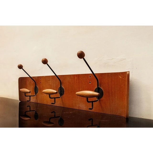 Coat bent plywood. In the style of Campo and Scratches Brothers Producer Reguitti 50s This piece has an attribution mark,...