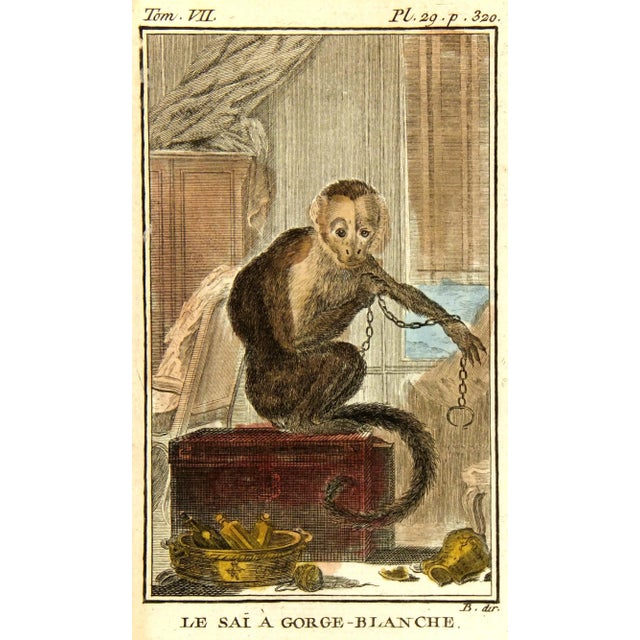 Consigned Le Sai Gorge-Blanche "Monkey" Engraving C. 1780 For Sale