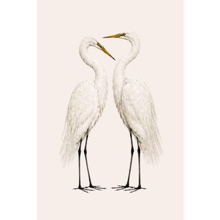 Crane Study 3 Neutral Coastal Bird Art Print, 16" X 24" For Sale