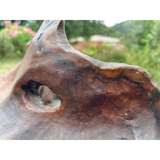 Large Brutalist Wood Bowl in Brown Patina, France, 1960s For Sale - Image 4 of 10