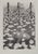 Maurits Cornelis Escher, Autumn and Carp, 2008, Engraving For Sale