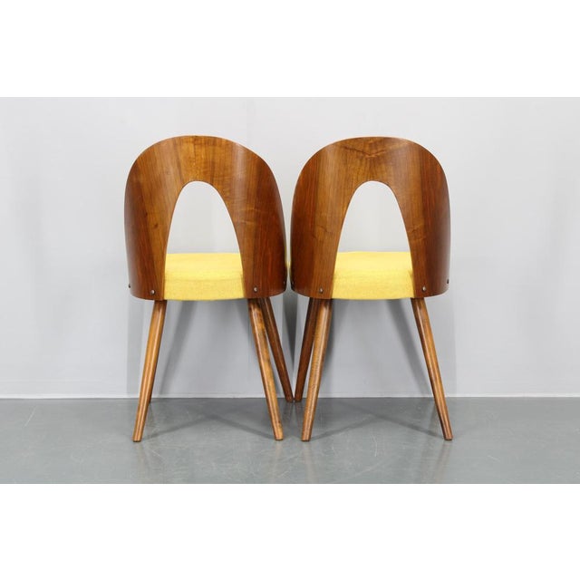 Vintage Dining Chairs in Walnut by Antonin Suman, 1960s, Set of 4 For Sale - Image 12 of 17