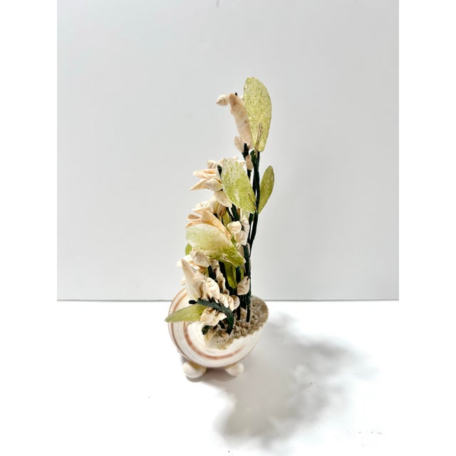 Vintage Shell Sculpture Flower Arrangement in Conch Shell Vase – Mid-Century Coastal Seashell Sculpture For Sale - Image 4 of 11